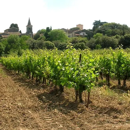 Balneo Pour 2 Dans Petit Village Proche & Montpellier *