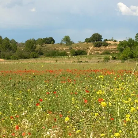Balneo Pour 2 Dans Petit Village Proche & Montpellier Lägenhet