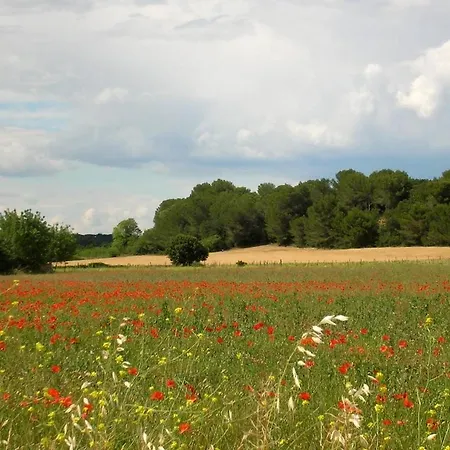 Balneo Pour 2 Dans Petit Village Proche & Montpellier